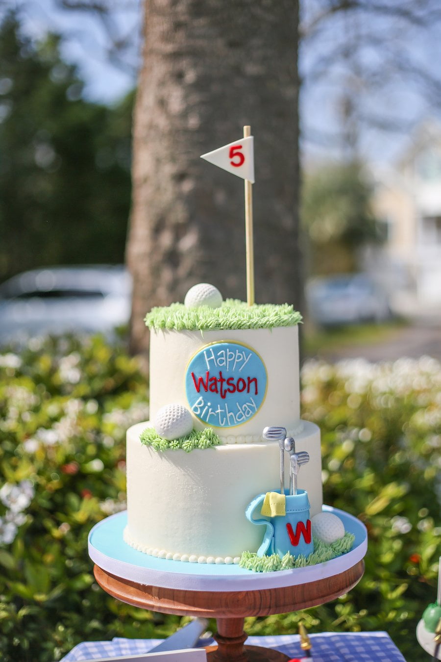 watsons-5th-birthday-party