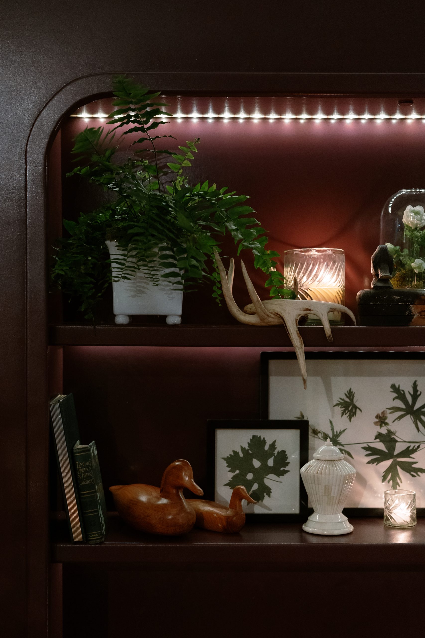 Boo & Elliott Preview